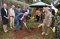 An official from the Nordic Countries plants a commemoration tree at the EASF Secretariat.