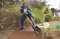 The Guest of Honor plants a tree to commemorate the day