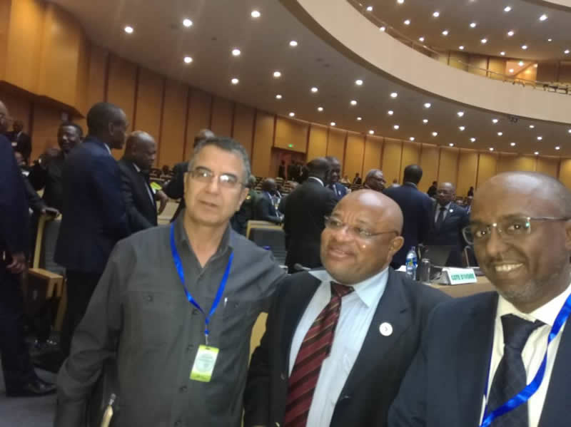 director arab league comoros minister